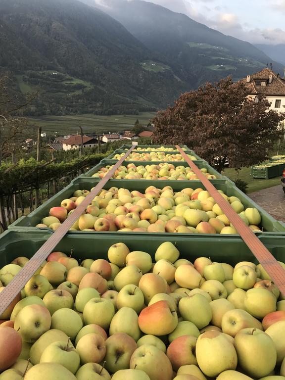 Klostergut Castelbello Eksteriør bilde